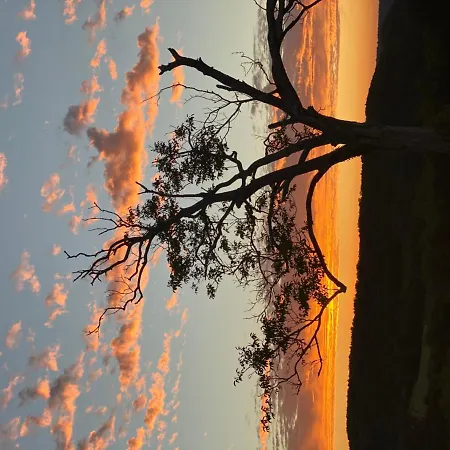 Domaine De Cazal - D'hotes Avec Piscine Au Coeur De 26 Hectares De Nature Preservee