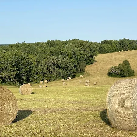 Domaine De Cazal - D'hotes Avec Piscine Au Coeur De 26 Hectares De Nature Preservee