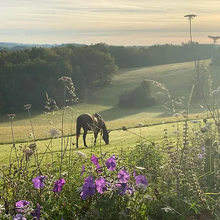 Domaine De Cazal - D'hotes Avec Piscine Au Coeur De 26 Hectares De Nature Preservee Bed & Breakfast Saint-Cyprien (Dordogne)